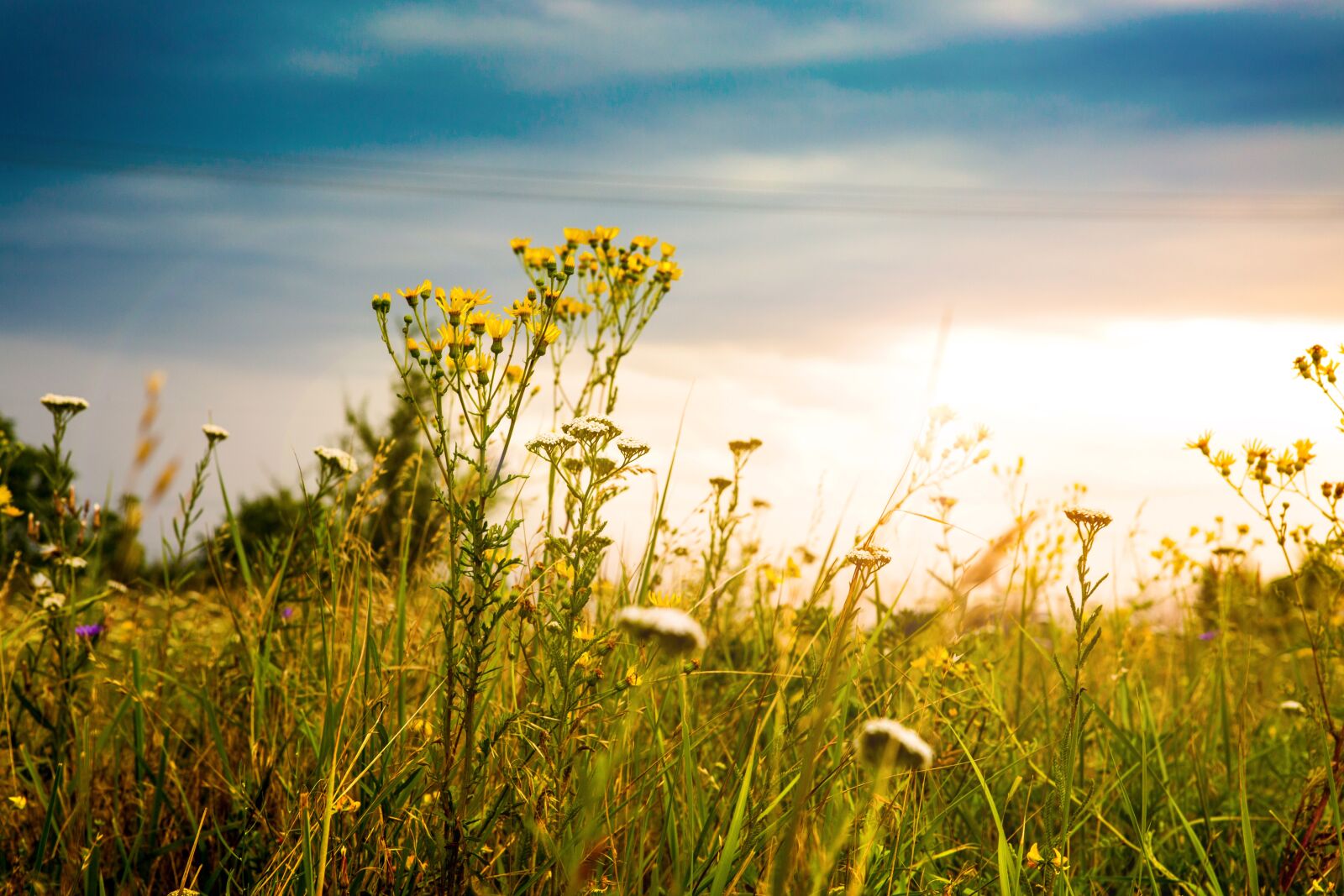 Canon EOS 5D Mark III sample photo. Sky, sun, field photography
