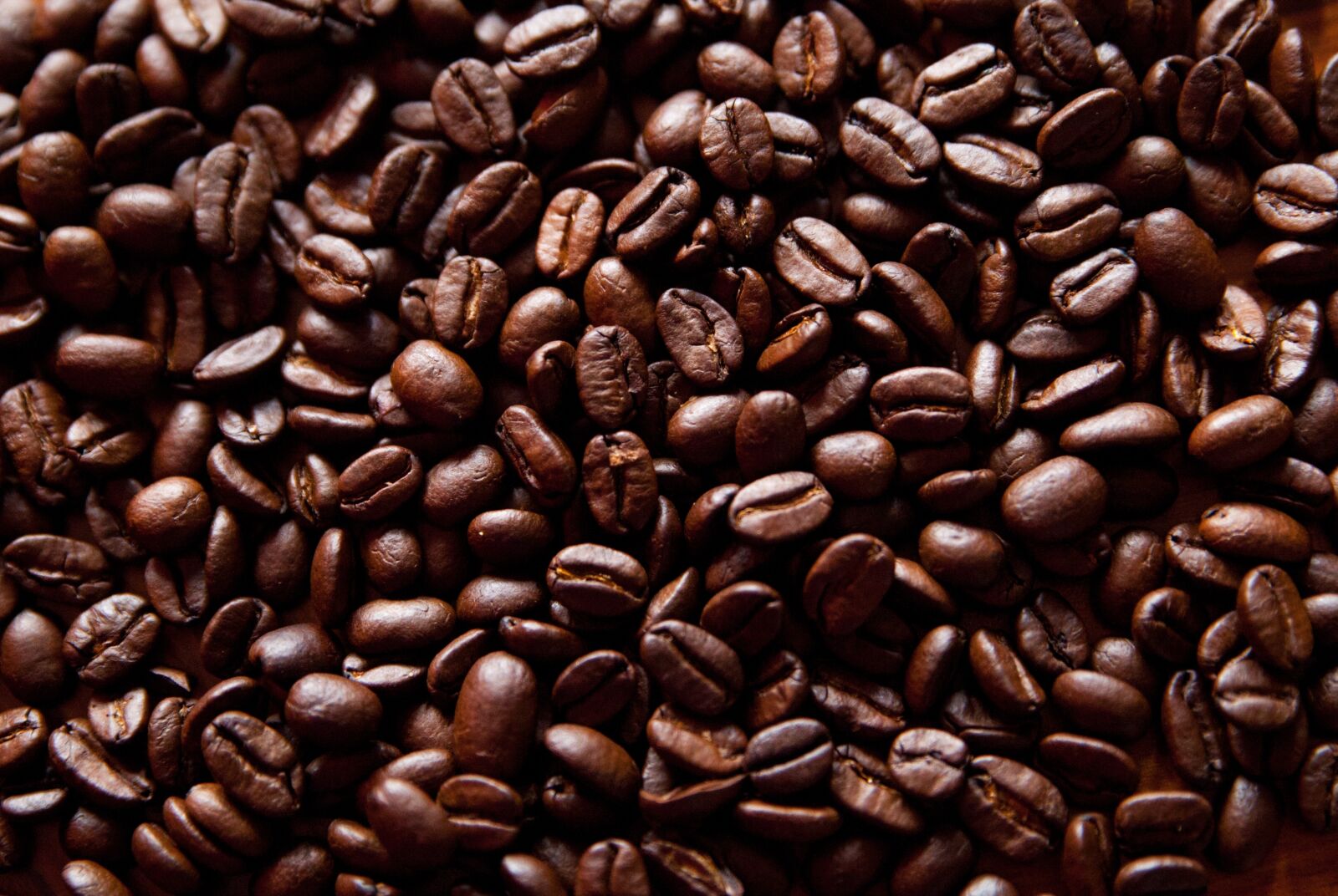 Canon EOS 5D Mark II sample photo. Coffee, coffee grains, coffee photography