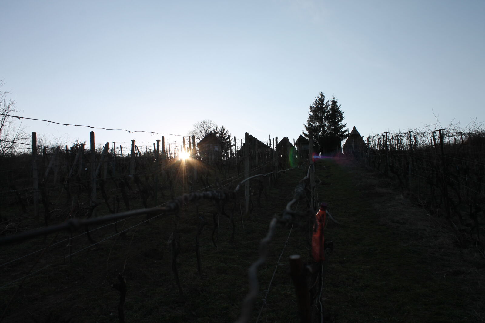 Canon EOS 1100D (EOS Rebel T3 / EOS Kiss X50) sample photo. House, tree, wine photography