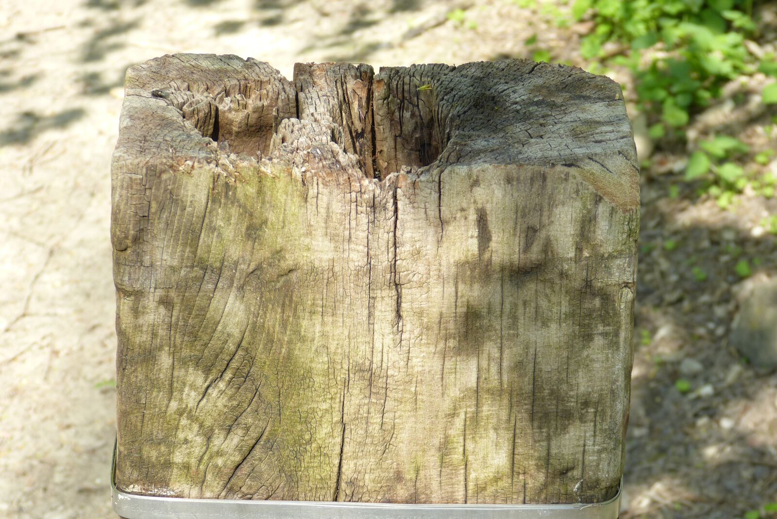 Panasonic Lumix DMC-FZ150 sample photo. Wood, nature, wooden boards photography