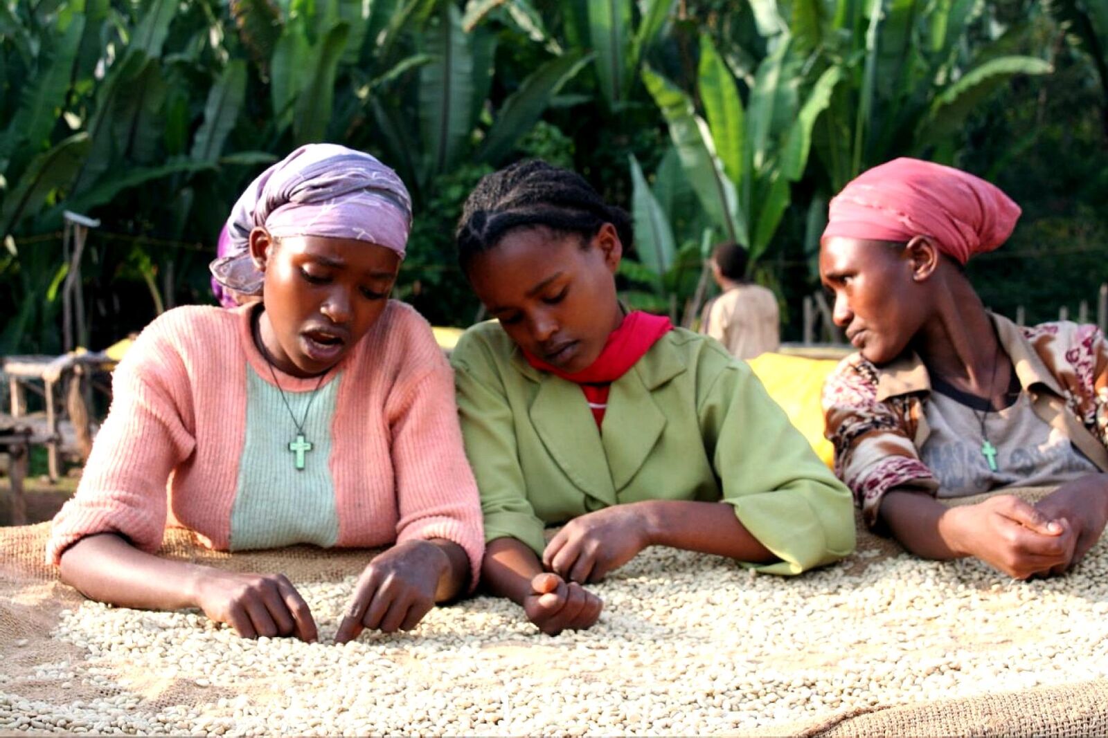 Canon EOS 350D (EOS Digital Rebel XT / EOS Kiss Digital N) sample photo. Women, coffee, farmers, ethiopia photography
