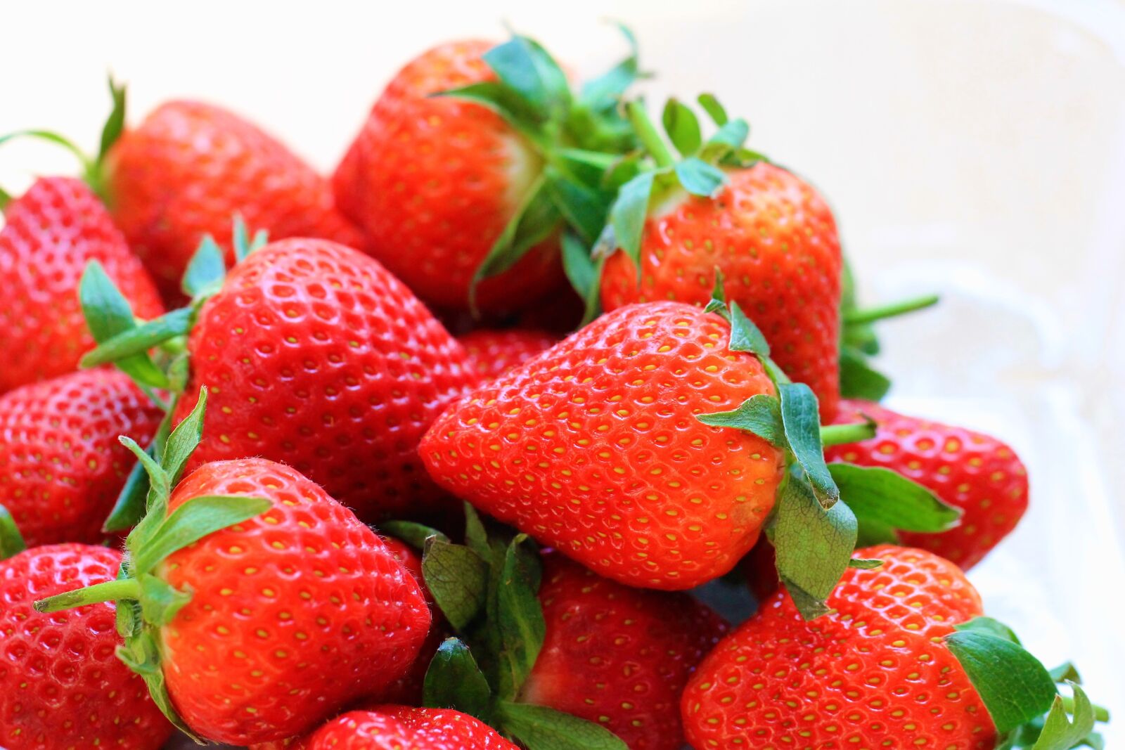 Canon EOS 550D (EOS Rebel T2i / EOS Kiss X4) sample photo. Strawberry, strawberries, red photography