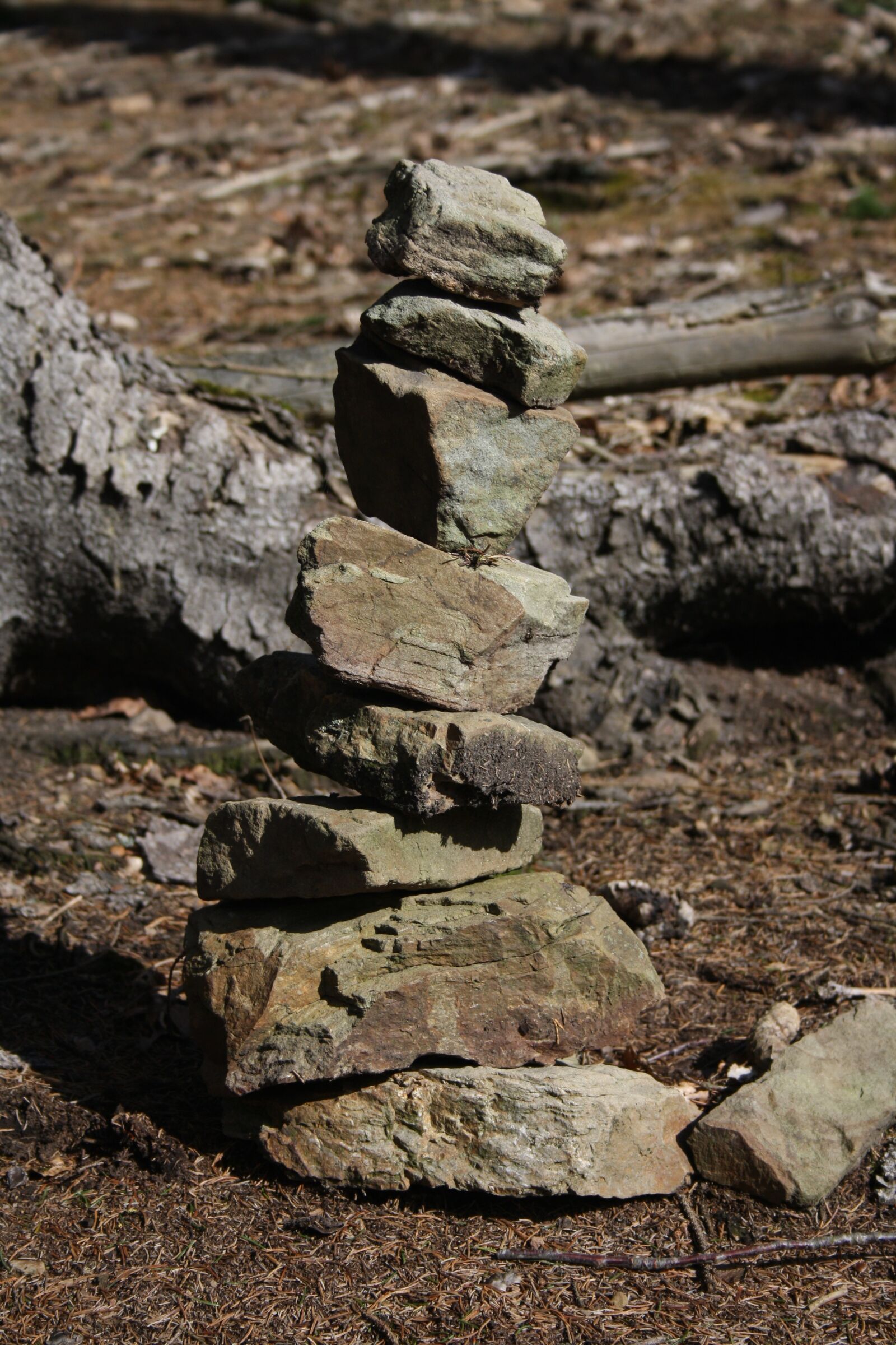 Canon EOS 1000D (EOS Digital Rebel XS / EOS Kiss F) sample photo. Nature, pile, rocks photography