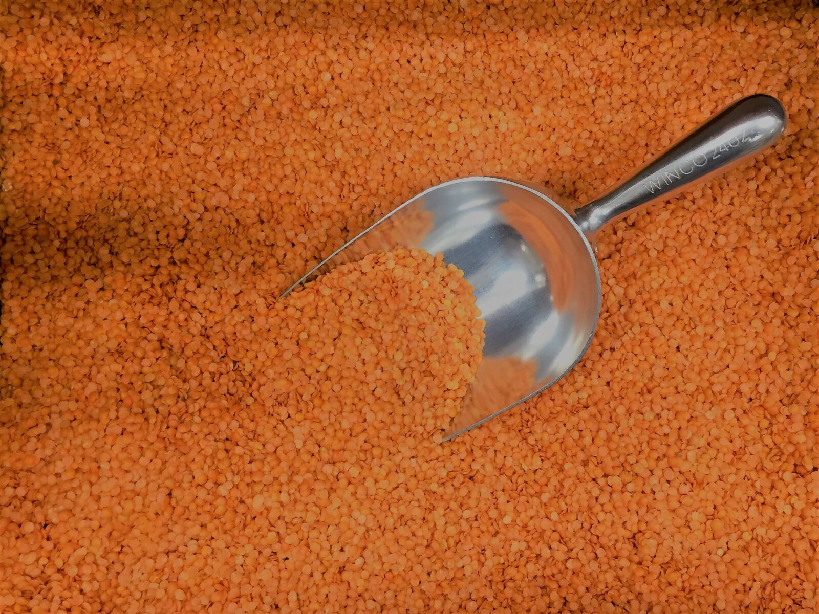 Apple iPhone 6 sample photo. Orange, lentils, vegetarian photography