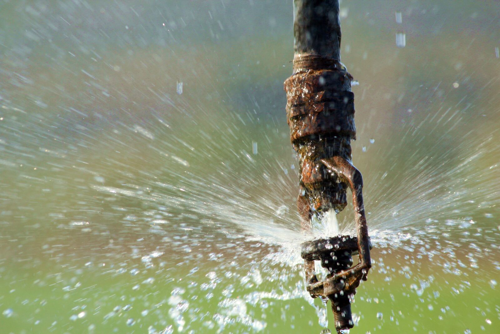Canon EOS 600D (Rebel EOS T3i / EOS Kiss X5) sample photo. Irrigation, water, drops of photography