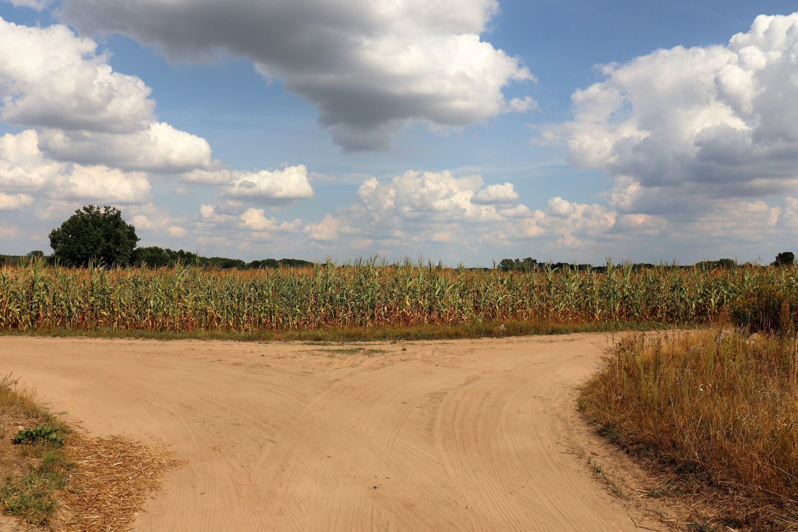 Canon EOS M6 sample photo. Landscape, a field of photography