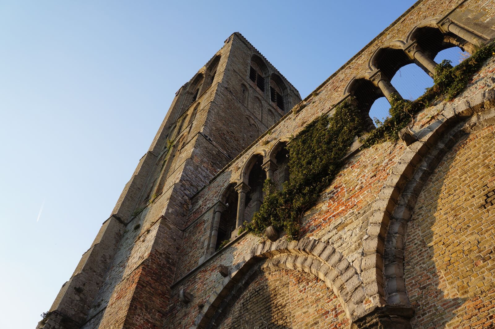 Sony Alpha NEX-5N sample photo. Architecture, building, low angle photography
