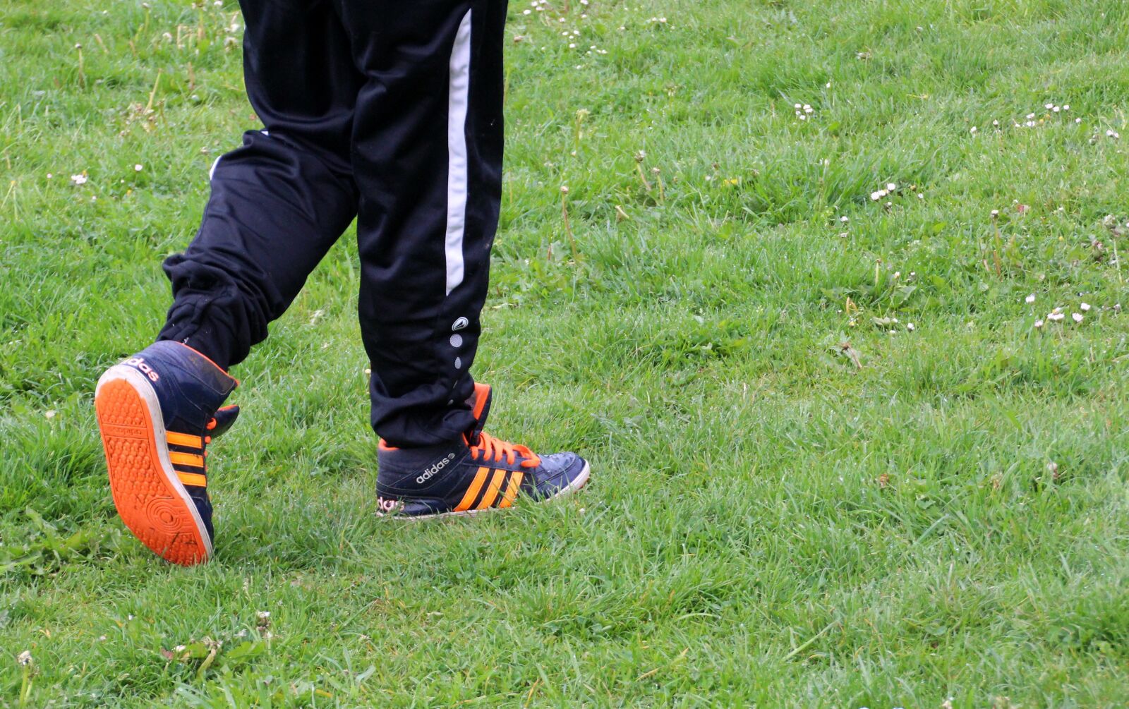 Canon EOS 650D (EOS Rebel T4i / EOS Kiss X6i) sample photo. Go, run, shoes photography