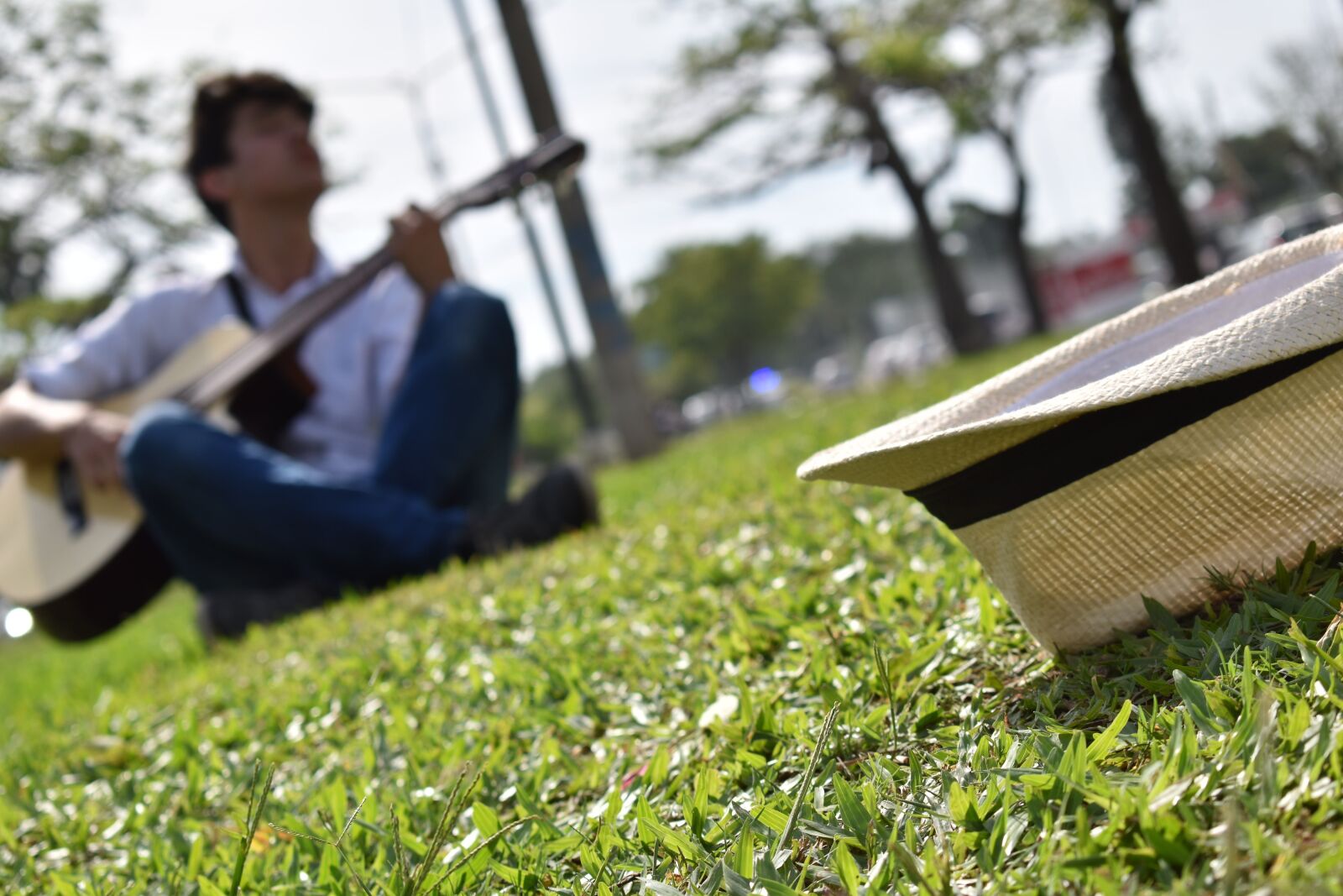 Nikon D5600 sample photo. Music, guitar, melody photography