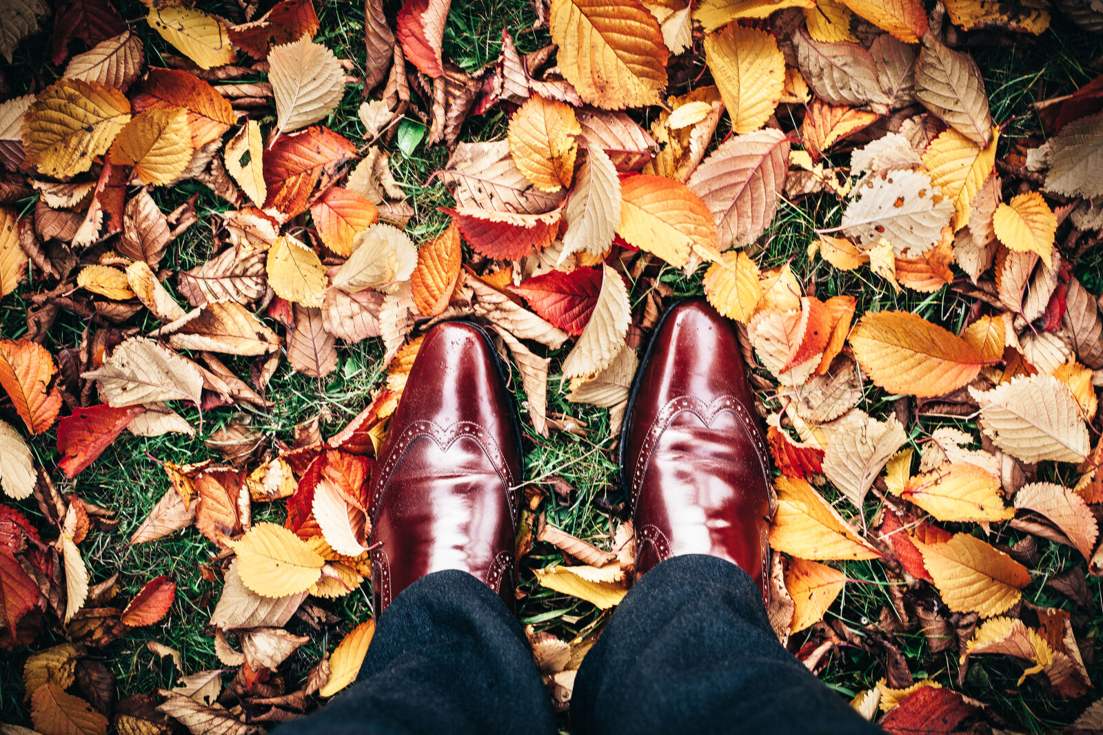 Canon EOS 5D Mark II sample photo. Autumn, bright, color, dry photography