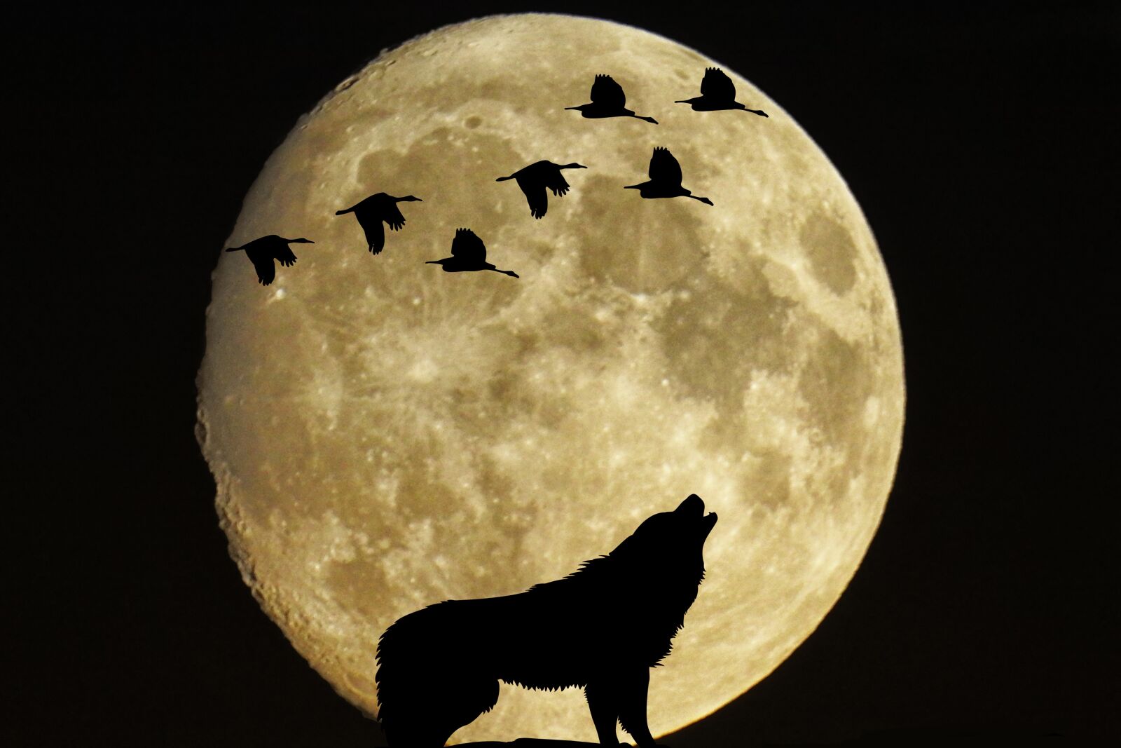 Nikon Coolpix P900 sample photo. Mystical, moon, full moon photography