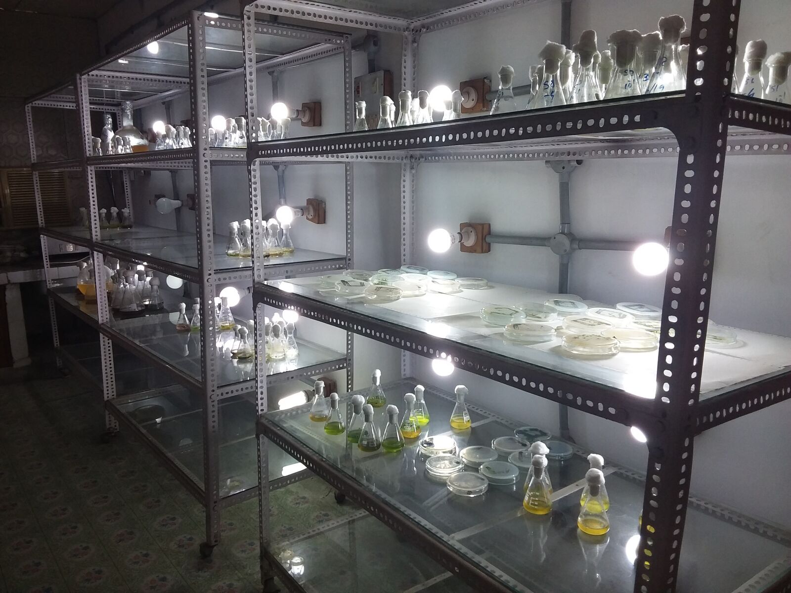 Samsung Galaxy Tab S2 sample photo. Spirulina culture room, spirulina photography