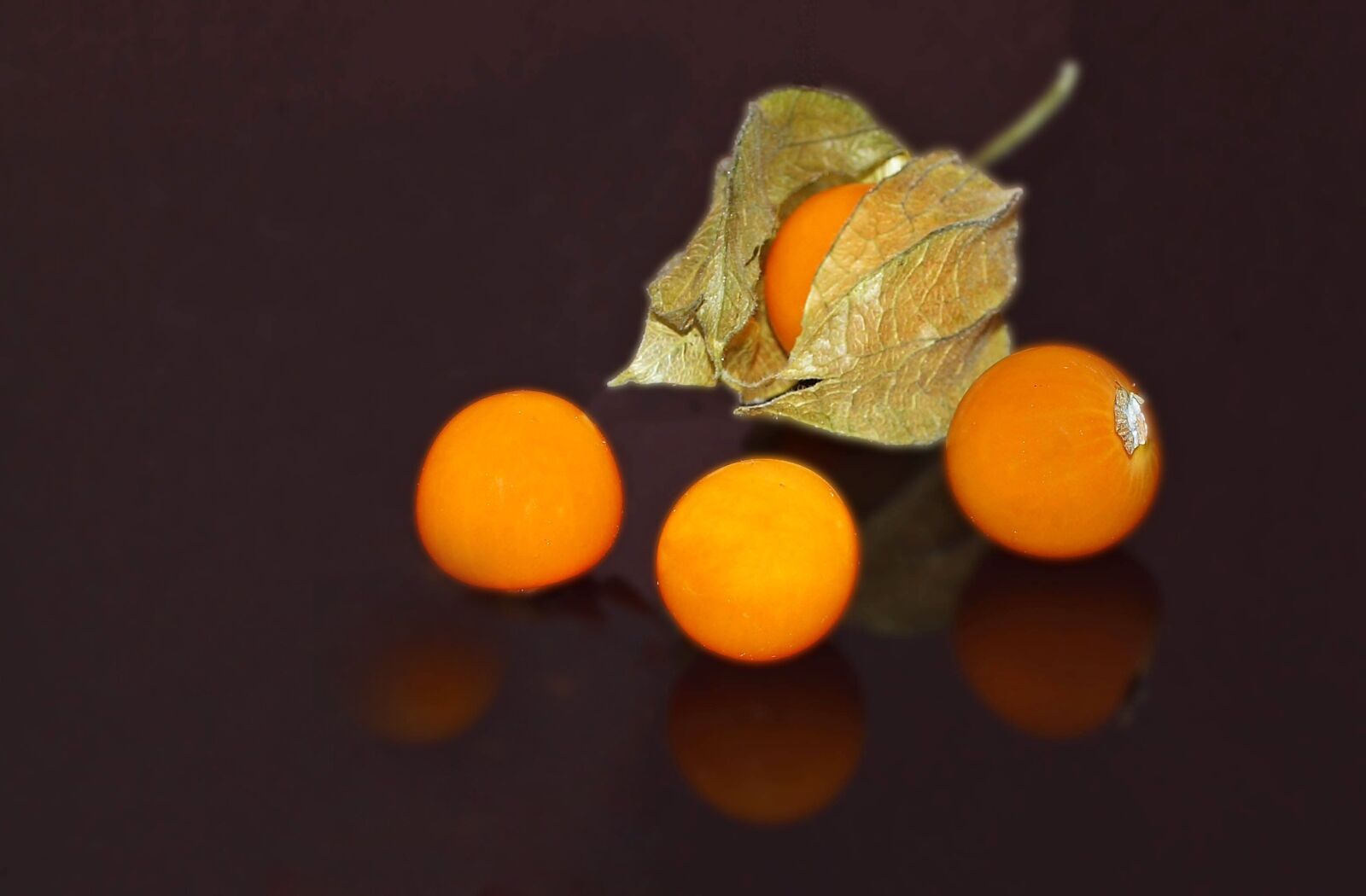 Olympus E-30 sample photo. Physalis, vegetables, food photography