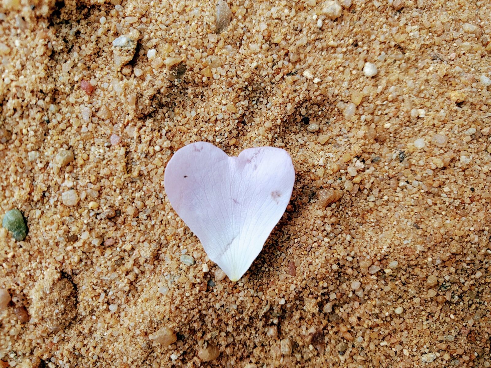 LG Nexus 5X sample photo. Heart, sand, blossom photography