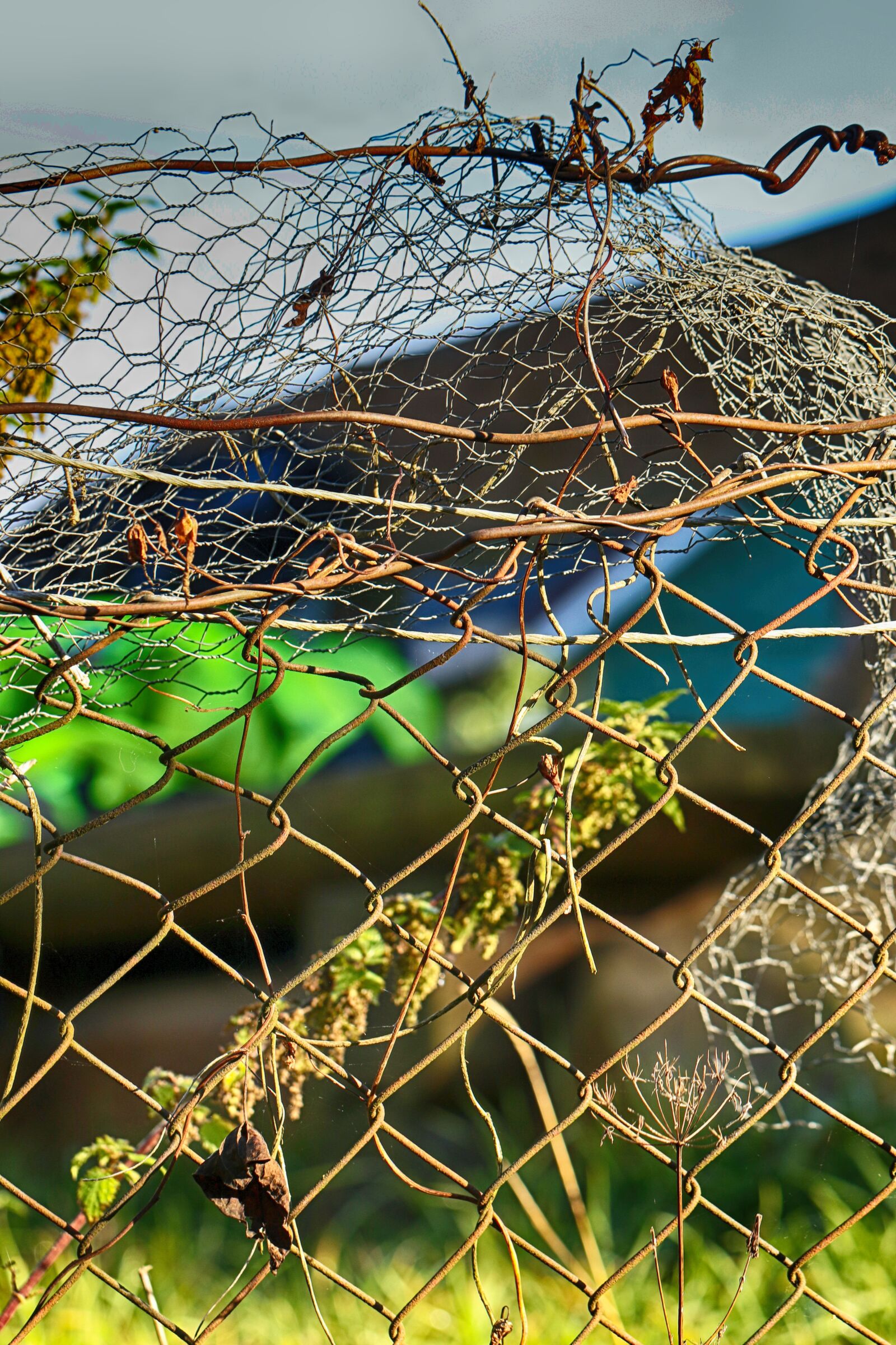 Canon EF 100mm F2.8L Macro IS USM sample photo. Fence, wire, metal photography