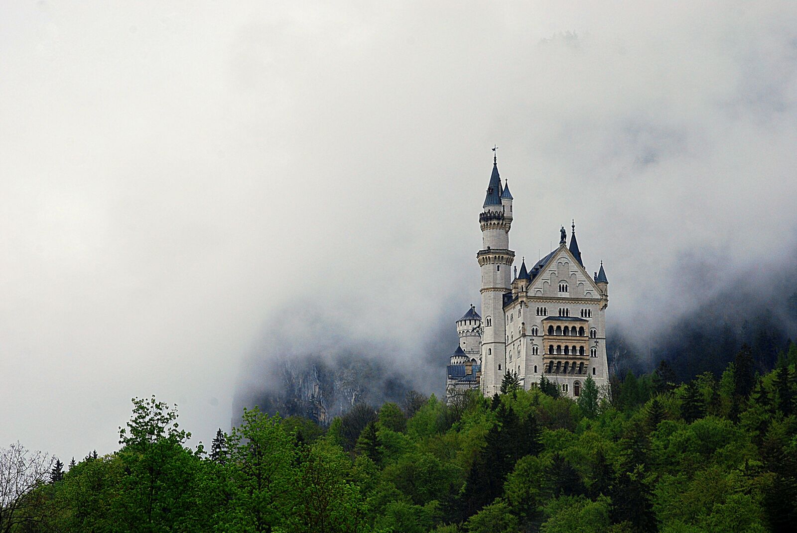Nikon D80 sample photo. Castle, the fog, forest photography