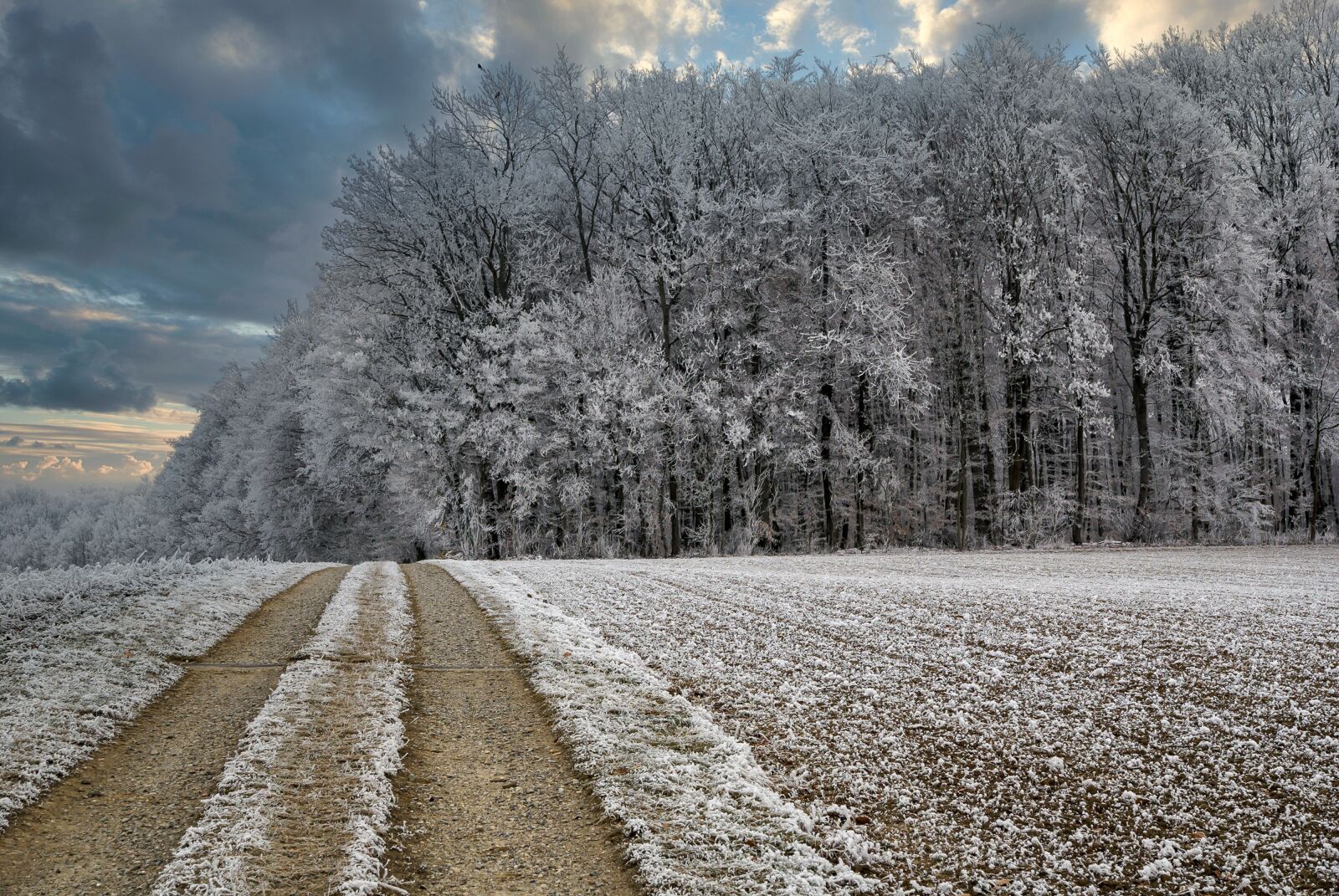 Sony Alpha DSLR-A100 sample photo. Winter, cold, winter's day photography