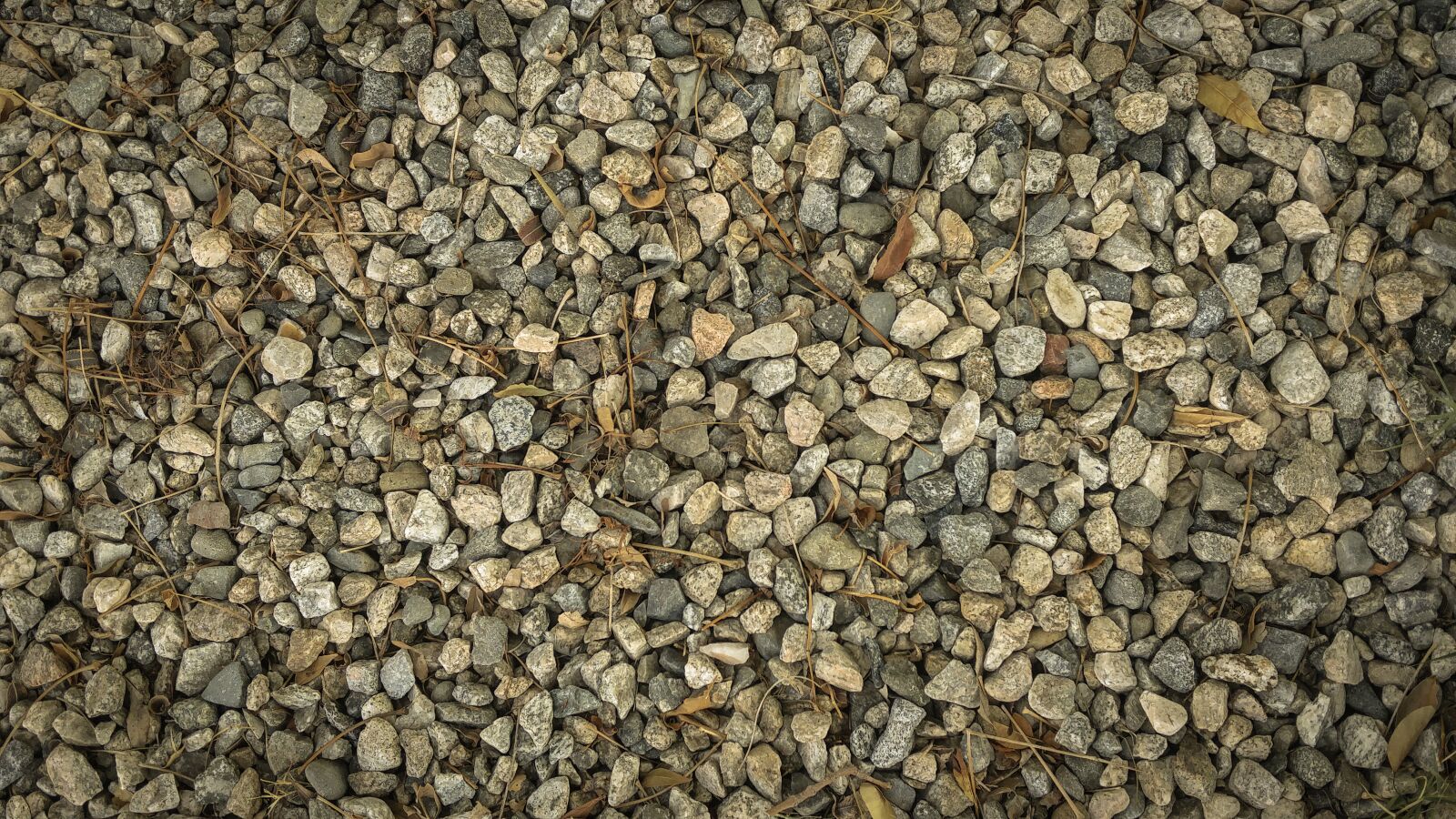 LG G4 sample photo. Nature, pebbles, rocks photography