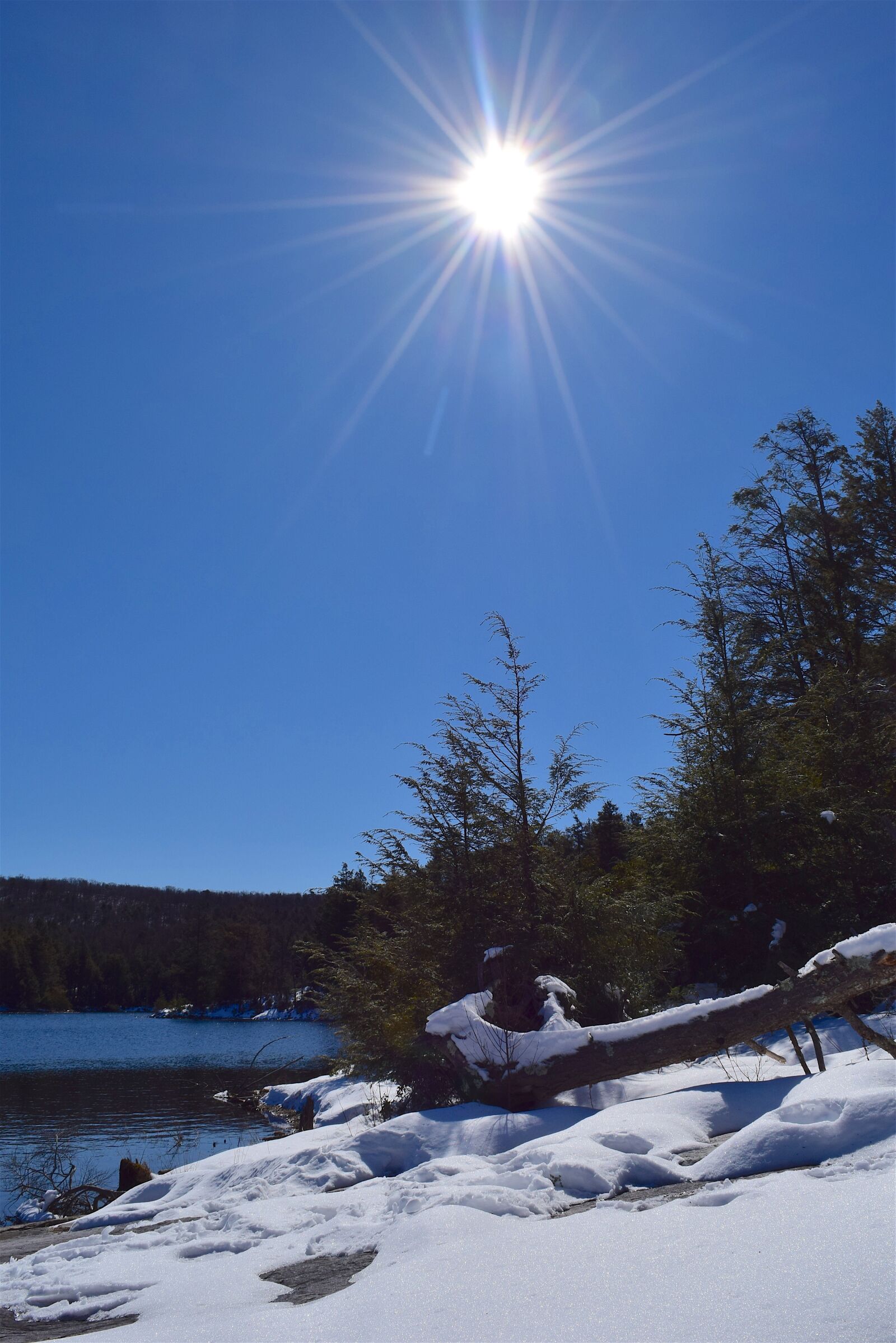 Nikon D3300 sample photo. Lake, snow, winter photography