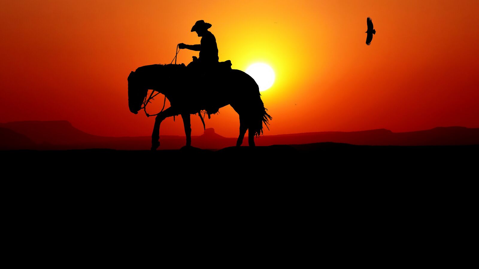 Panasonic Lumix DMC-FZ200 sample photo. Sunset, jumper, nature photography
