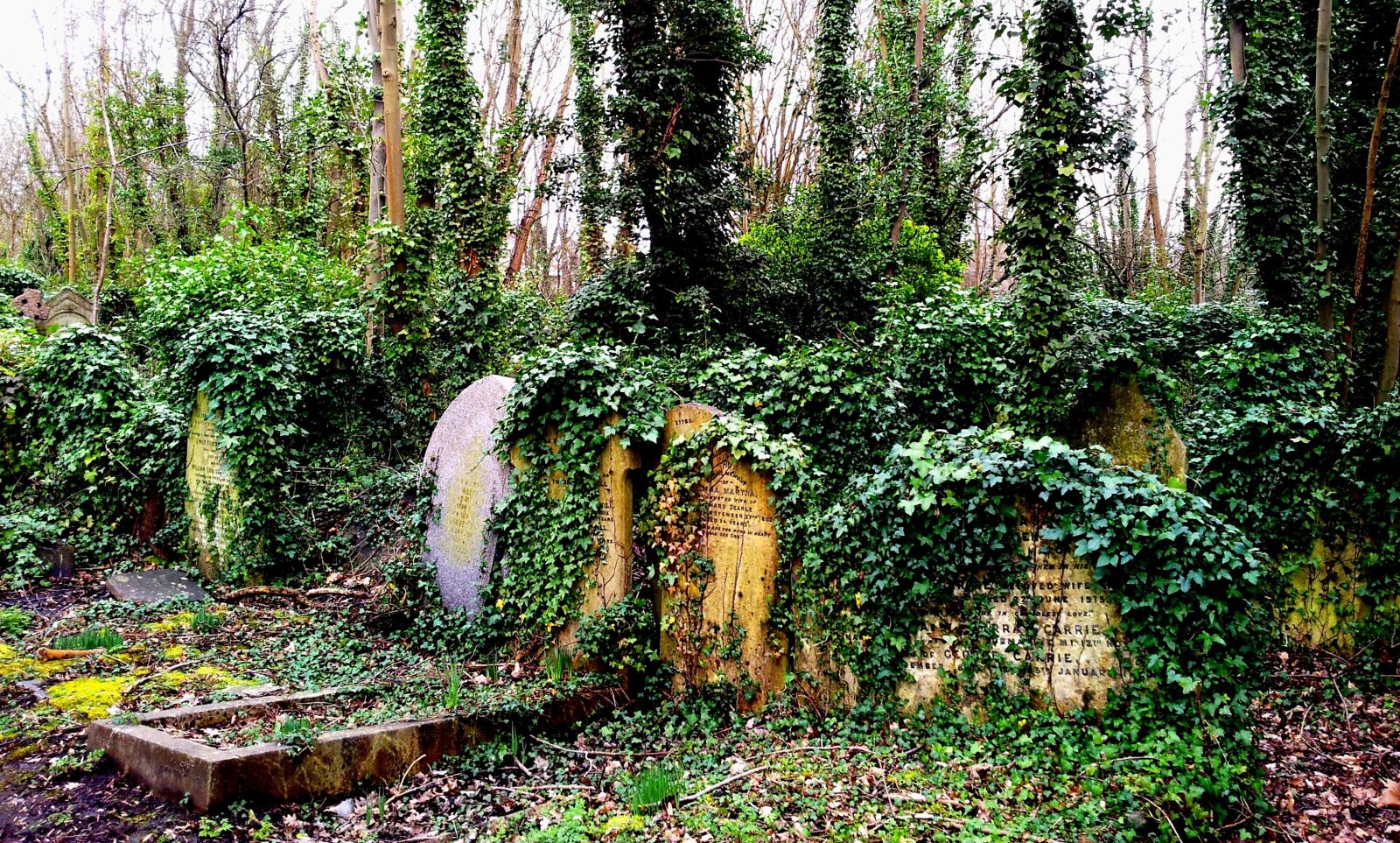 Samsung Galaxy S2 sample photo. Cemetery, grave, tombstone photography