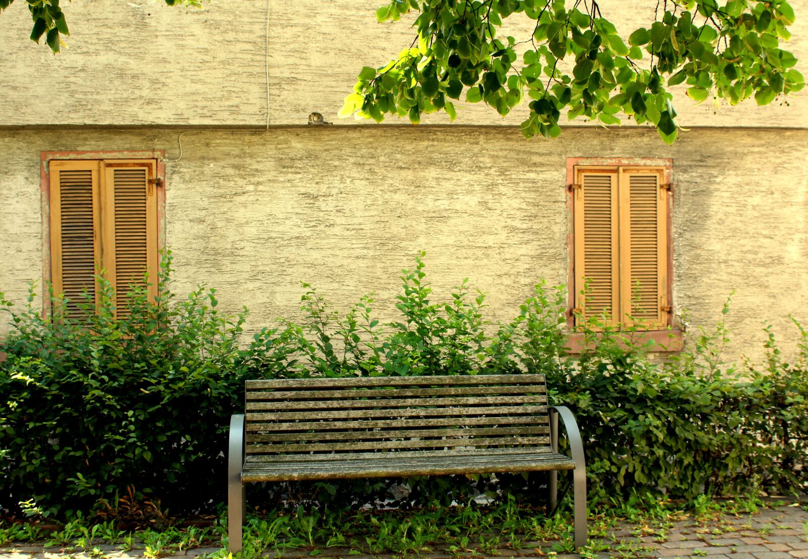 Canon EOS 1200D (EOS Rebel T5 / EOS Kiss X70 / EOS Hi) sample photo. Bench, rest, summer photography