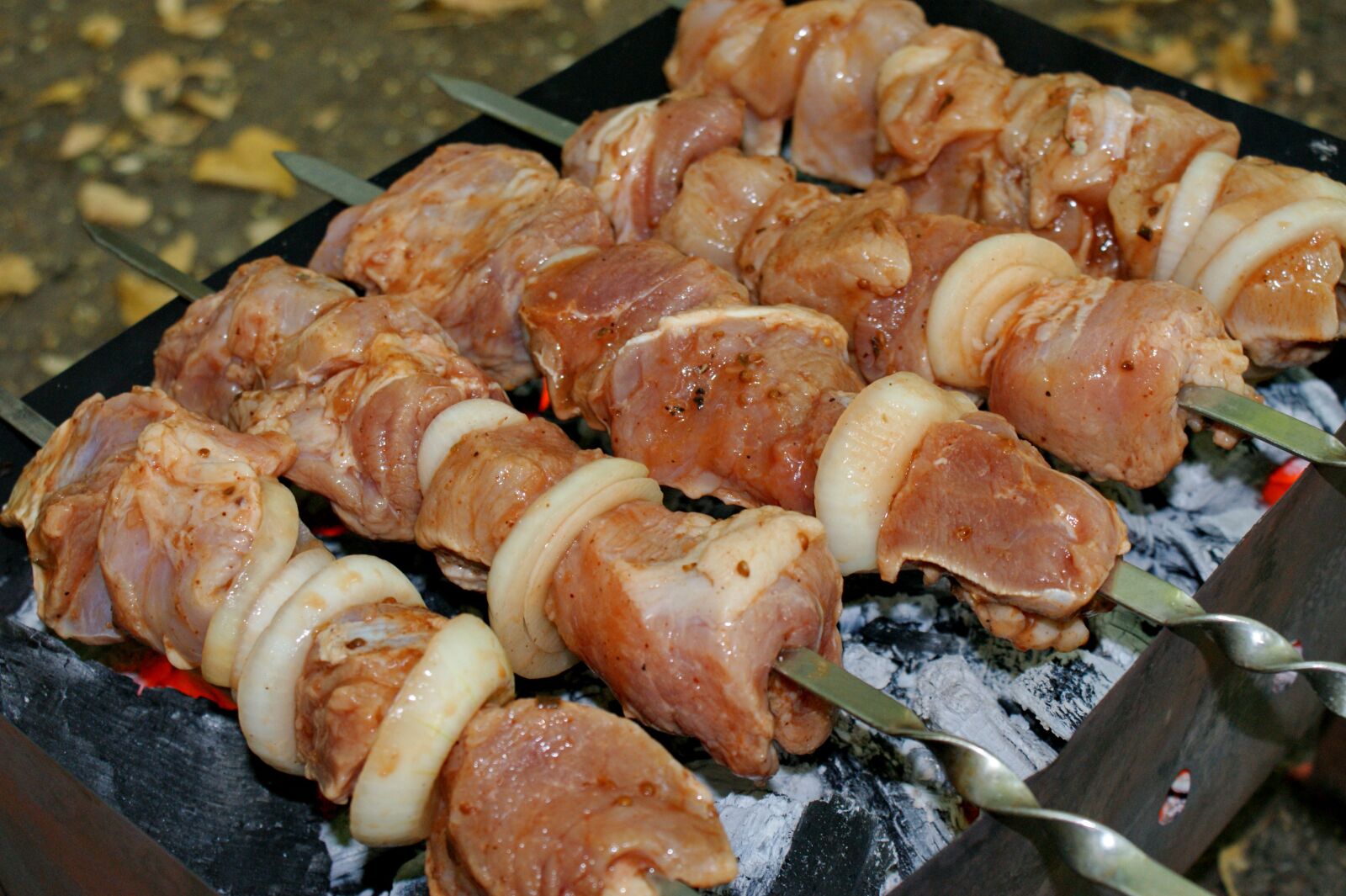 Sony Alpha DSLR-A350 sample photo. Meat, shish kebab, tasty photography