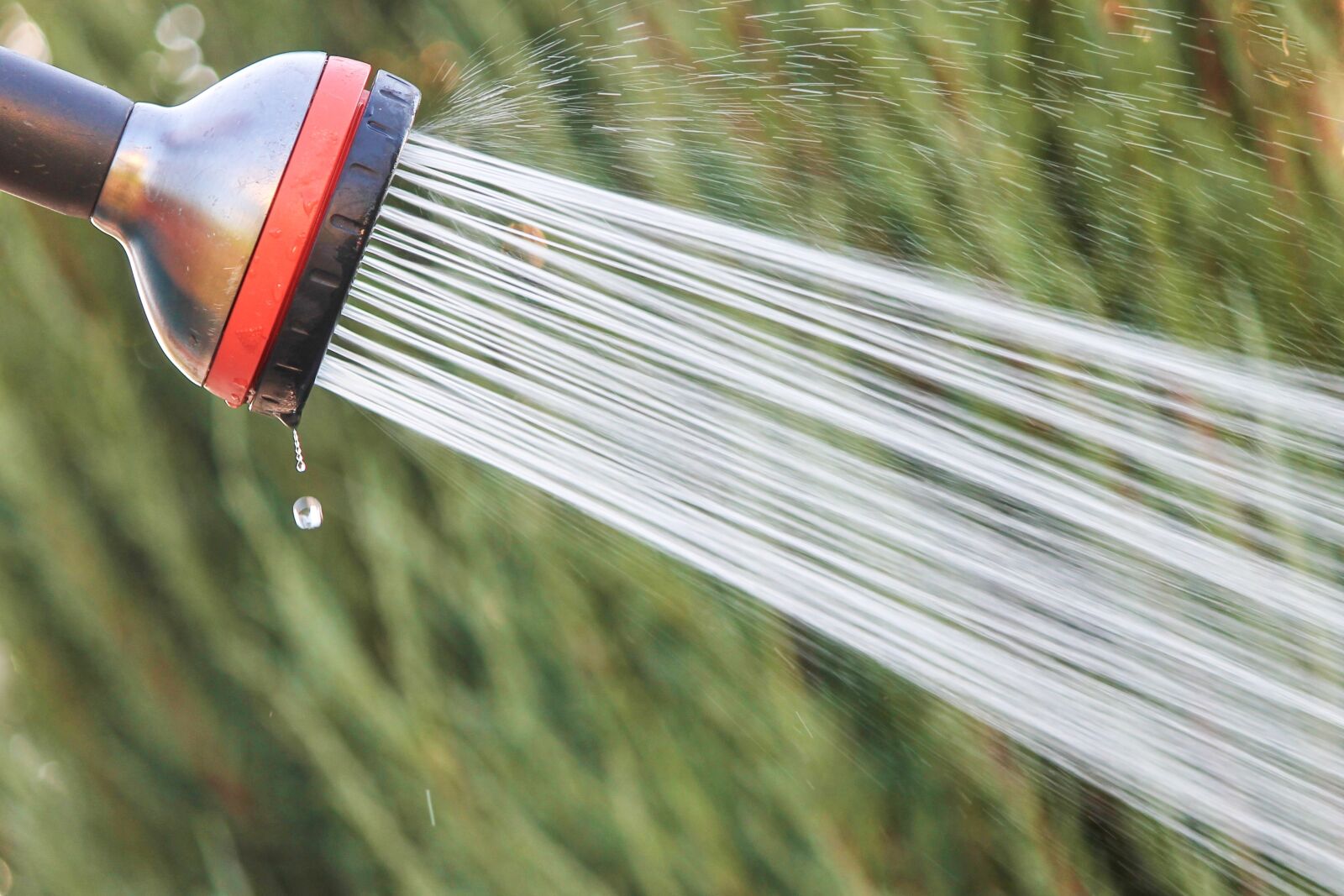 Canon EOS 1100D (EOS Rebel T3 / EOS Kiss X50) sample photo. Water jet, shower, garden photography