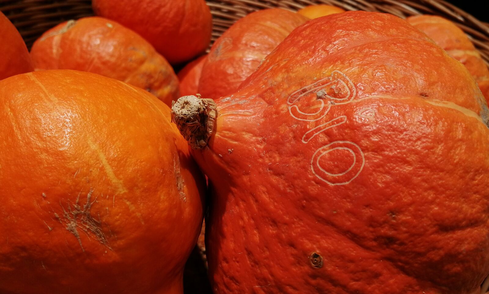 HUAWEI SNE-LX1 sample photo. Pumpkin, vegetables, bio photography