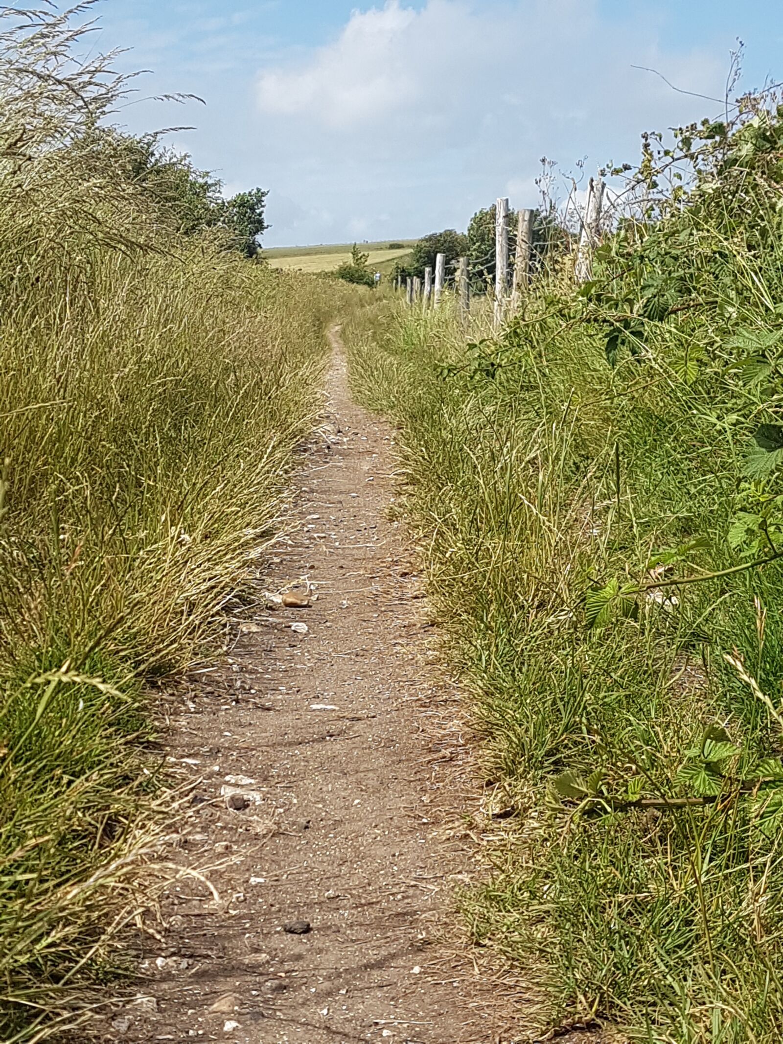Samsung Galaxy S7 sample photo. Path, trail, nature photography