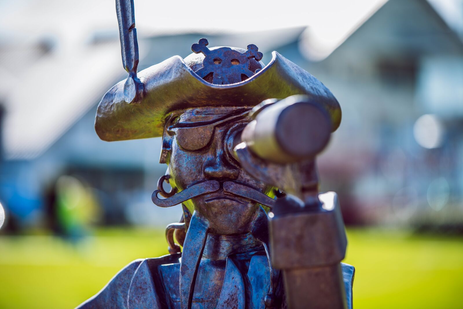 Nikon D750 sample photo. Metal, pirate, sculpture photography