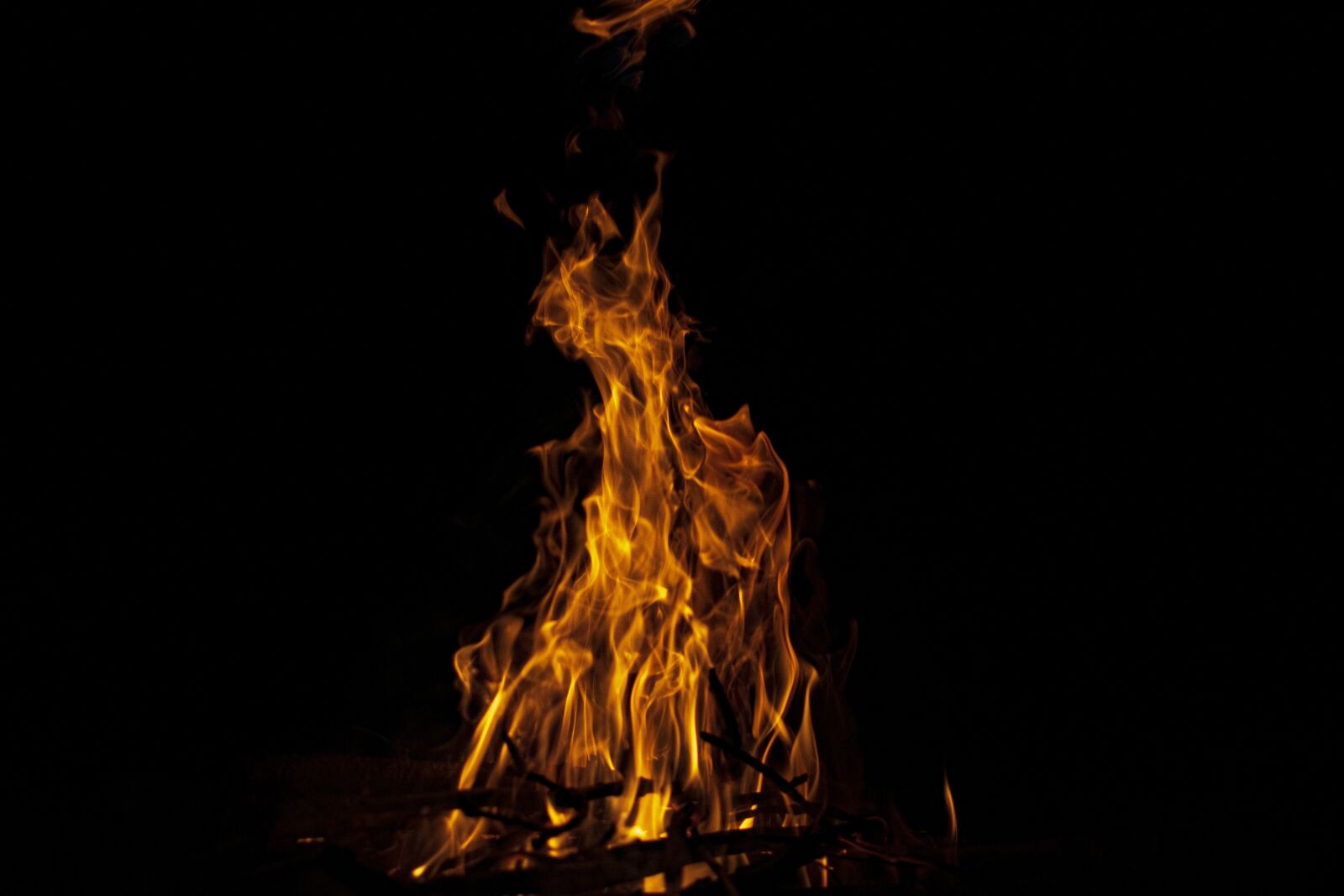 Nikon D3300 sample photo. Fire, flame, campfire photography