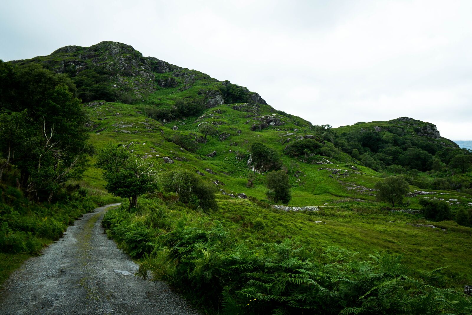 Sony a6500 + Sony Vario-Tessar T* E 16-70mm F4 ZA OSS sample photo. Landscape, ireland, nature photography
