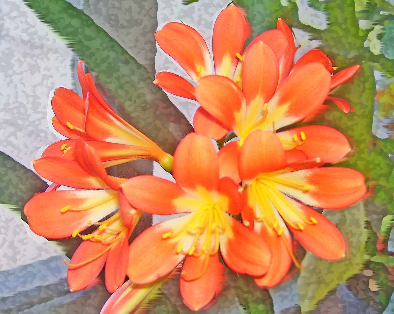 Kodak EASYSHARE C533 ZOOM DIGITAL CAMERA sample photo. Flower, orange photography