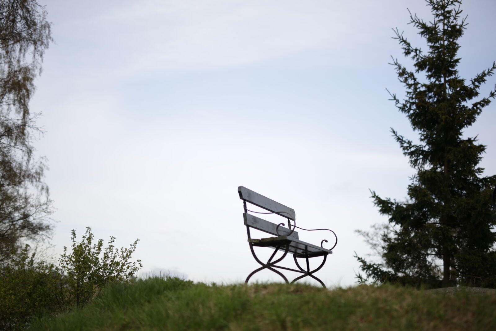 Canon EOS 6D sample photo. The lonely bench photography