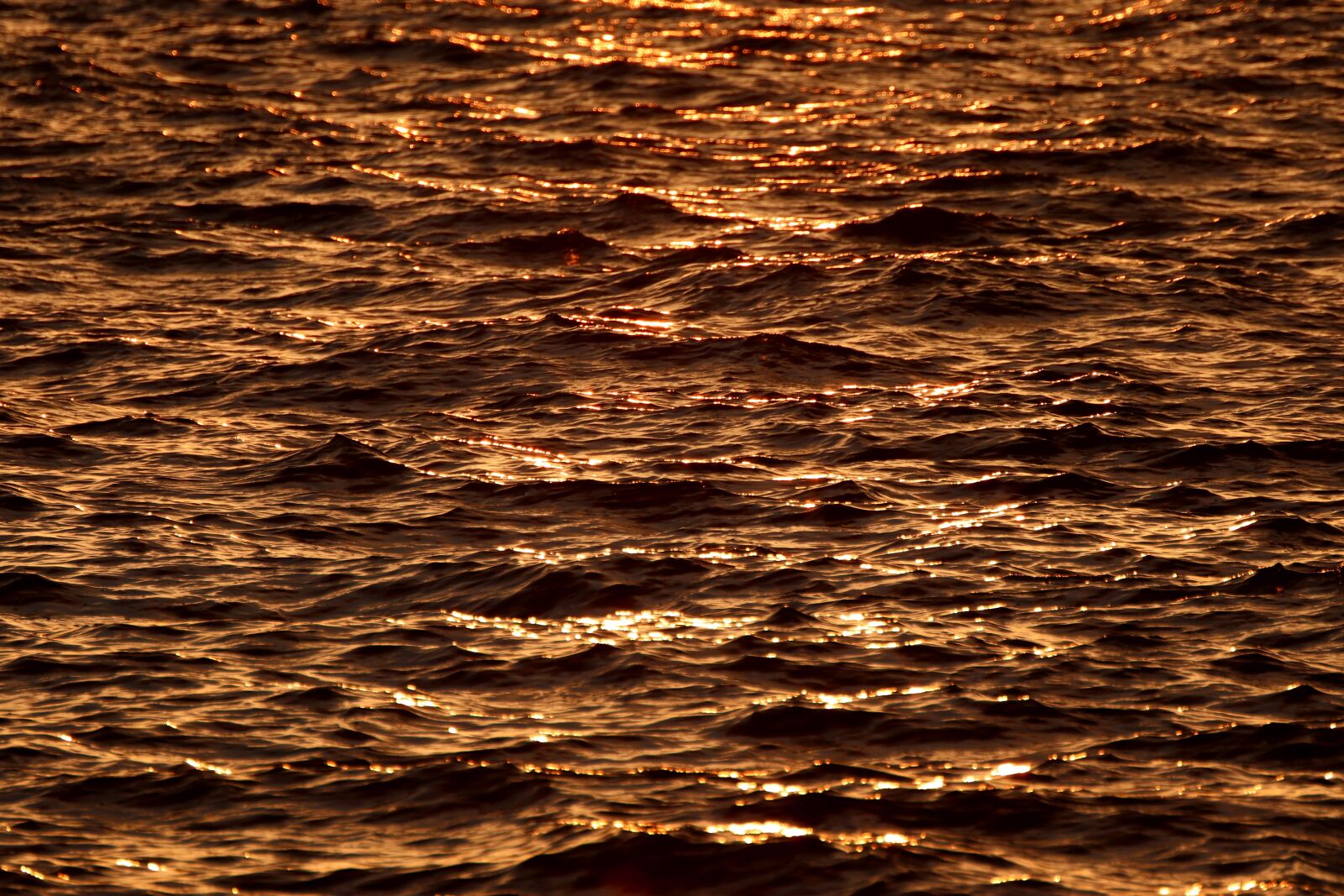 Canon EOS 200D (EOS Rebel SL2 / EOS Kiss X9) sample photo. Water, mirroring, reflection photography
