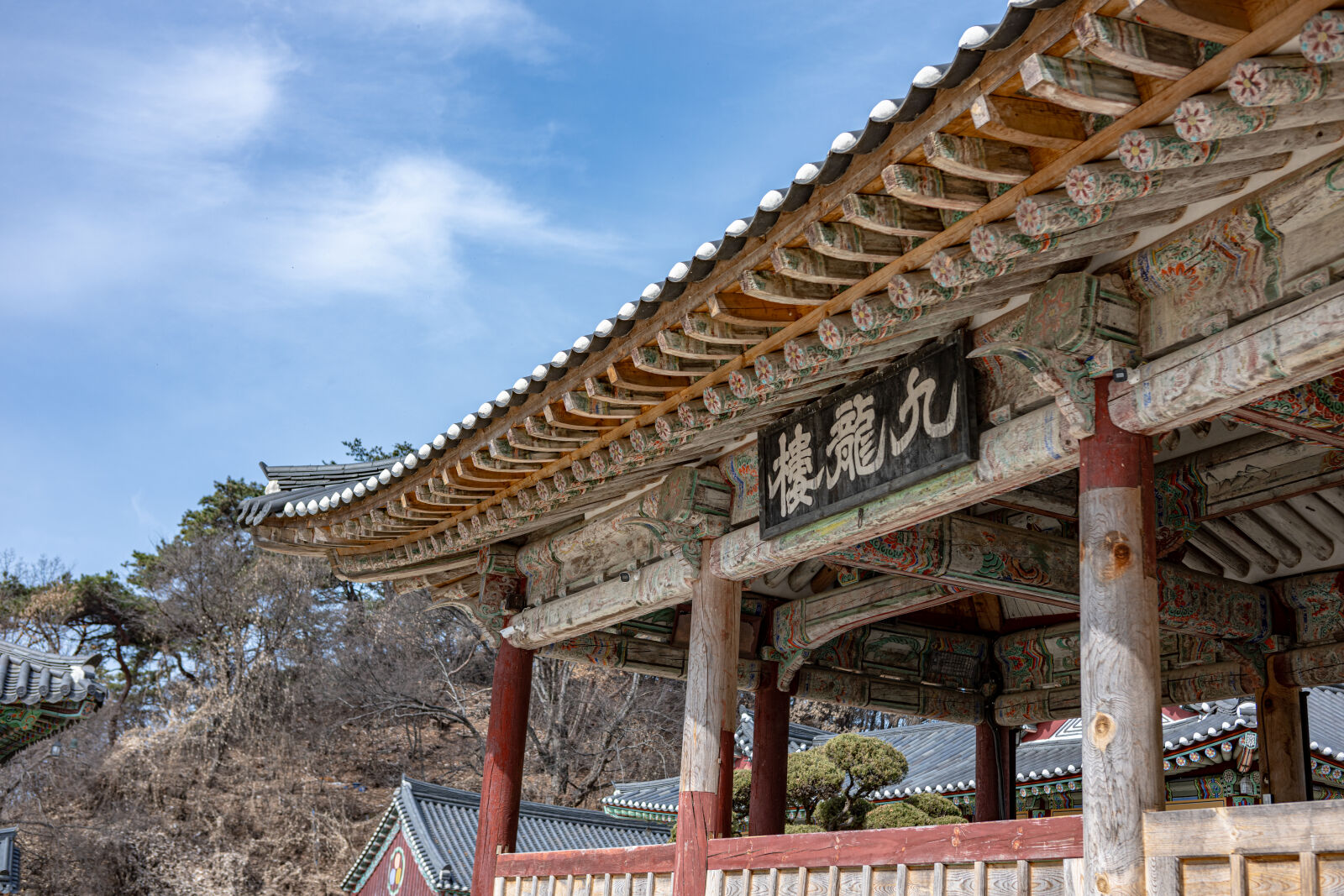 Nikon Nikkor Z 40mm F2 sample photo