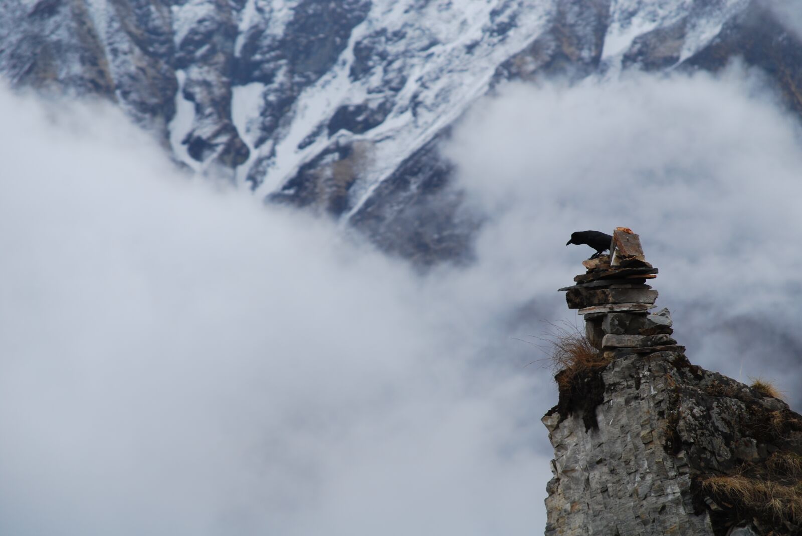 Nikon D40X sample photo. Nepal, bird, cairn photography