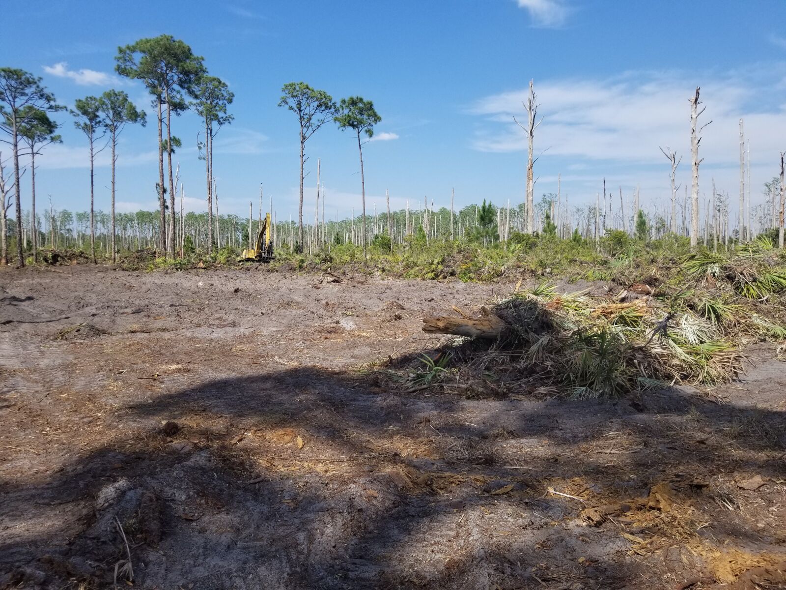 Samsung Galaxy S8+ sample photo. Land clearing, trees, land photography
