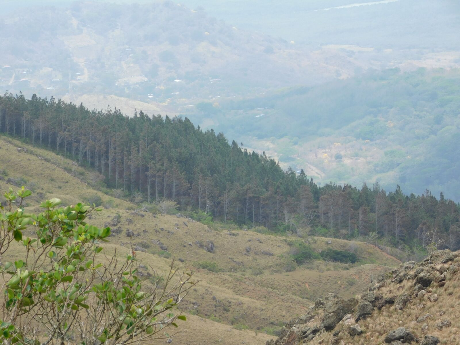 Nikon Coolpix B500 sample photo. Landscape, panama, nature photography