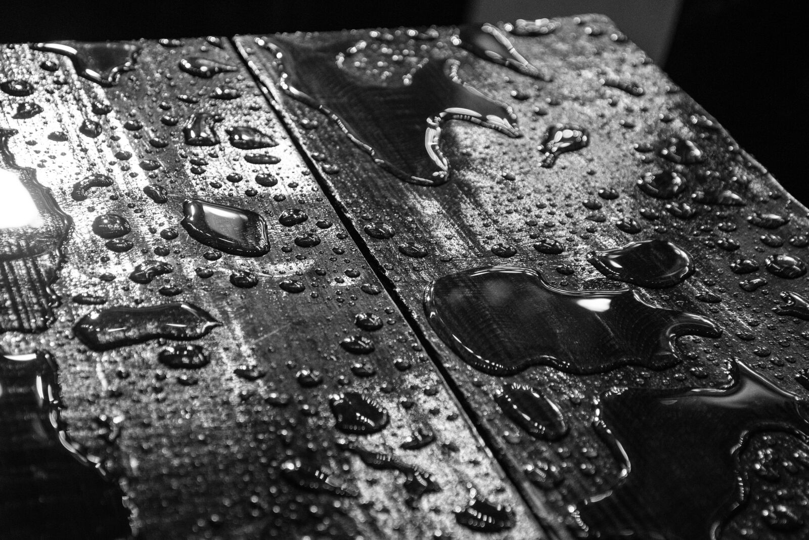 Nikon D600 sample photo. Wet, wood, table photography