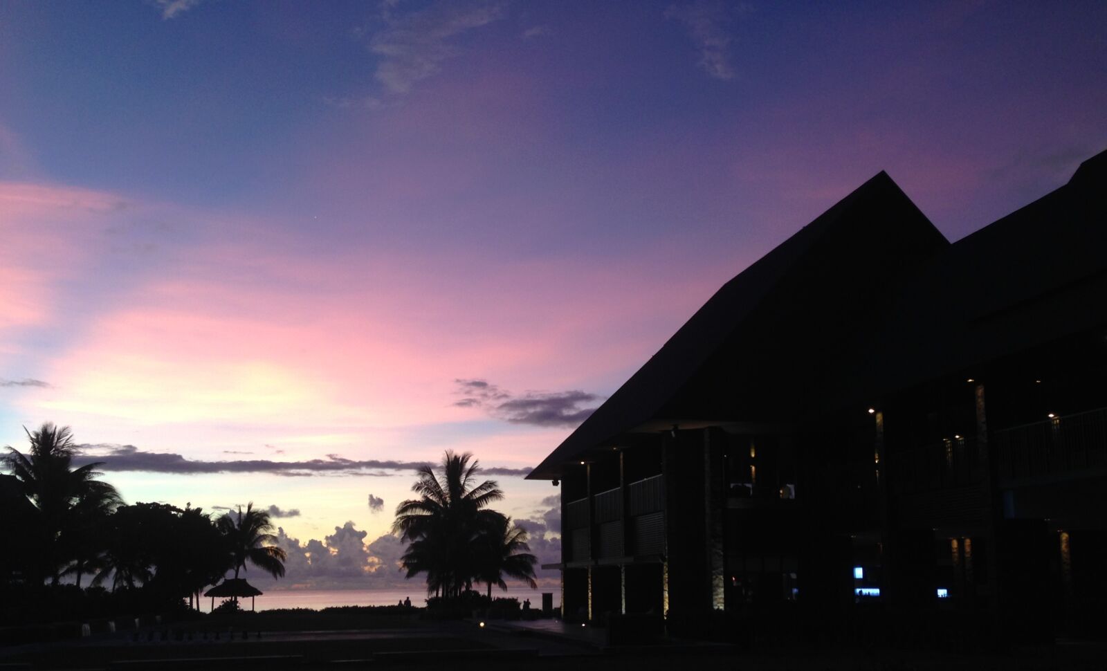 iPhone 5 back camera 4.12mm f/2.4 sample photo. Clearsky, coconut, dusk, fiji photography