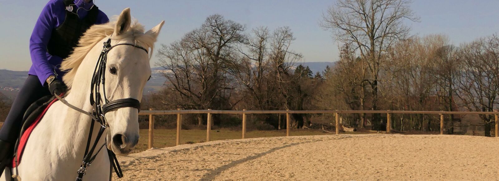 Panasonic Lumix DMC-FZ2500 (Lumix DMC-FZ2000) sample photo. Horse, white, gallop photography