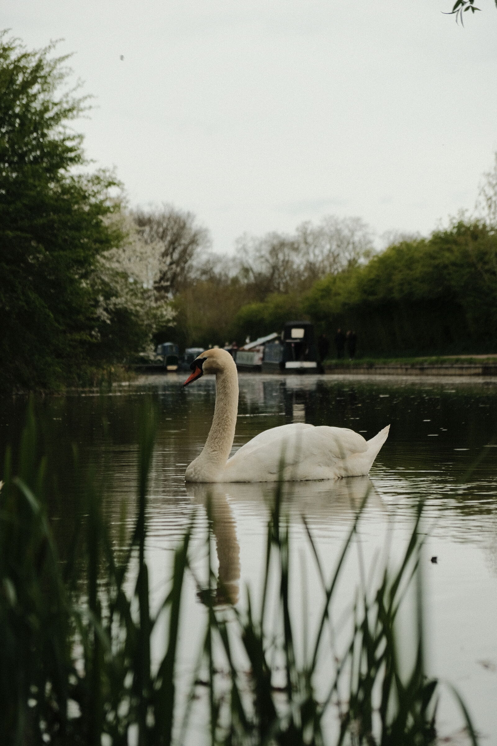 Fujifilm XF 18-55mm F2.8-4 R LM OIS sample photo