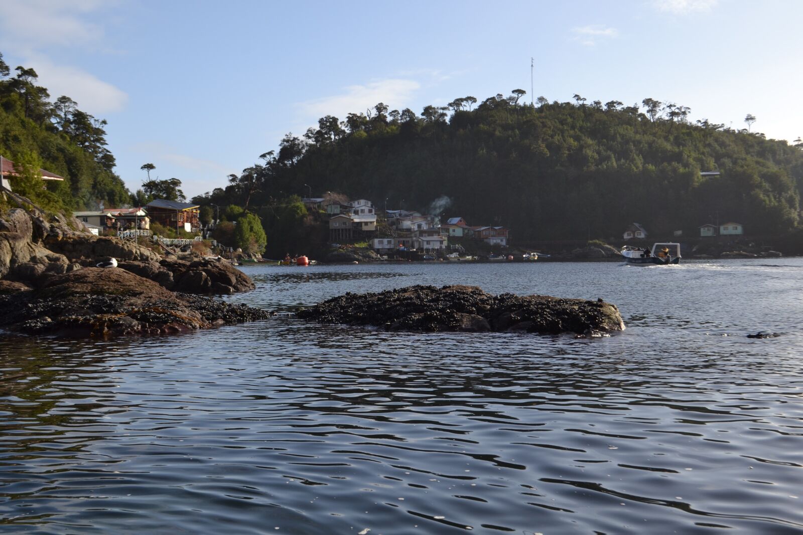Nikon D3100 sample photo. Coastal, sea, costa photography