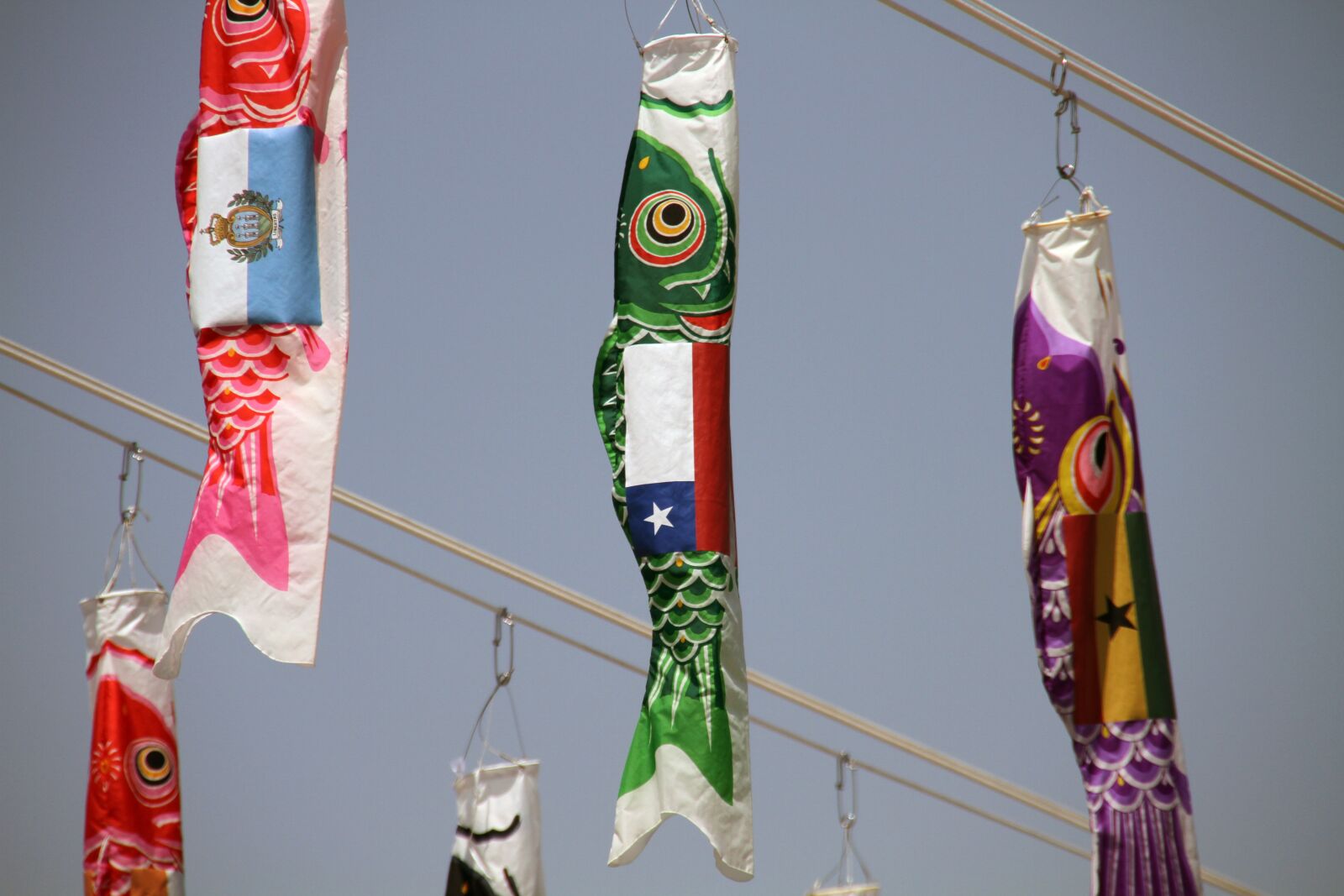 Canon EOS 7D sample photo. Chilean flag, kites, japanese photography