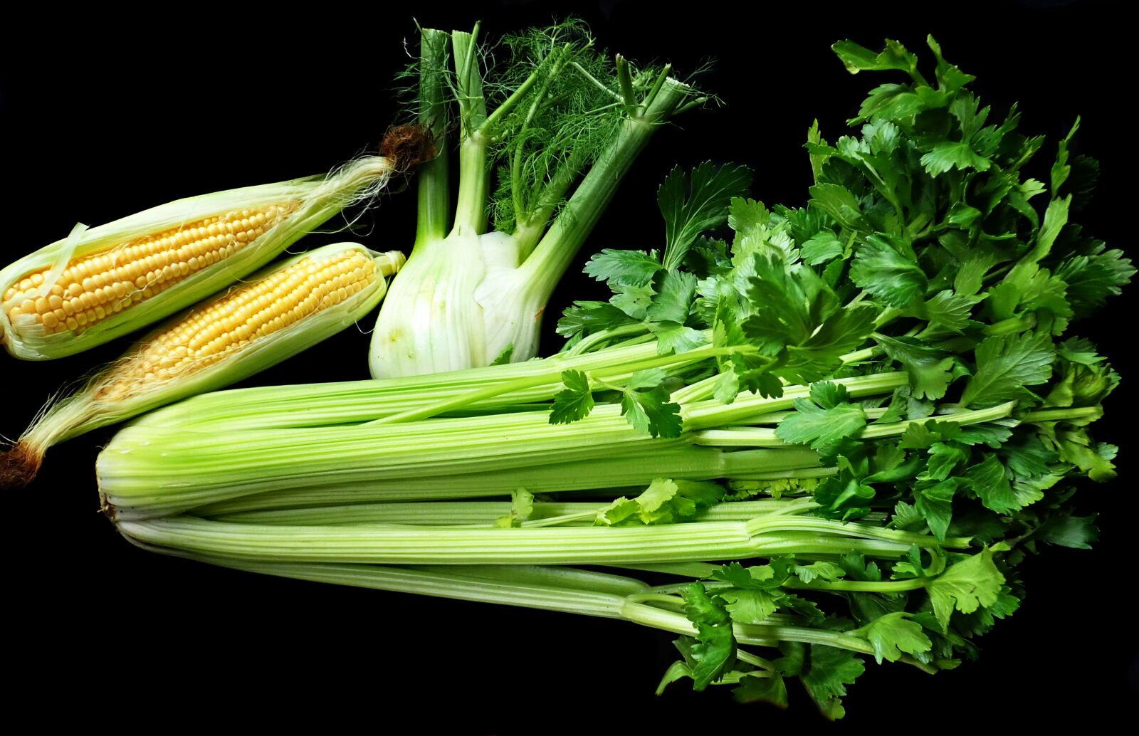 Olympus TG-5 sample photo. Vegetables, celery, fennel photography