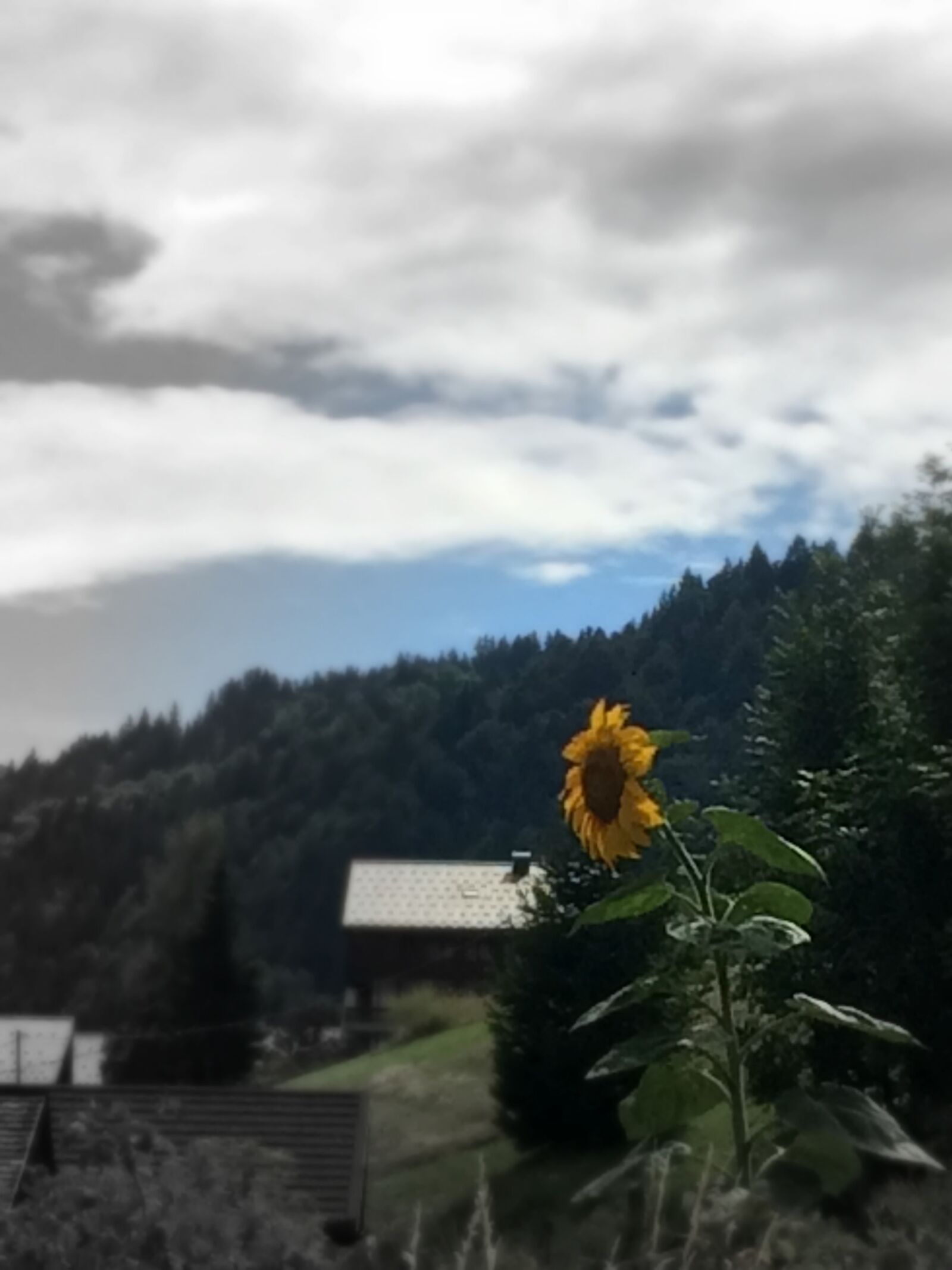 iPhone 5s back camera 4.15mm f/2.2 sample photo. Beaufortain, hauteluce, montagne, summer photography
