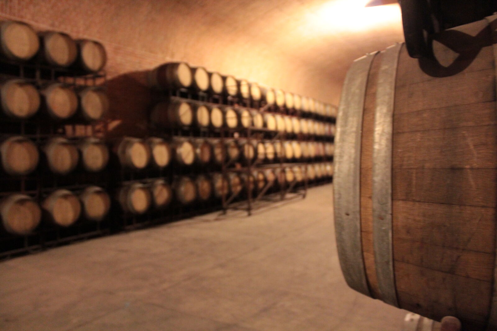 Canon EOS 600D (Rebel EOS T3i / EOS Kiss X5) sample photo. Barrel, wine, winery photography