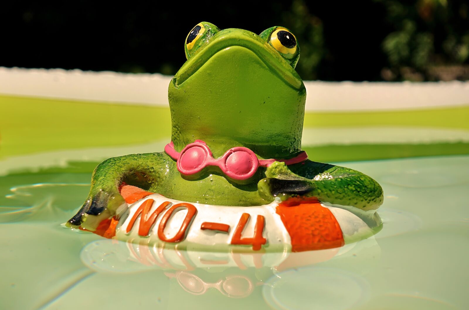 Sony DSC-RX100M5 sample photo. Frog, figure, swim photography